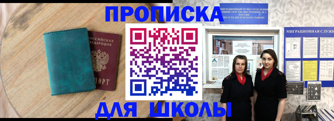 временная регистрация госуслуги в Никольском